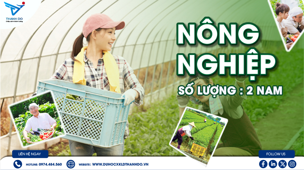 TUYỂN DỤNG ĐƠN NÔNG NGHIỆP